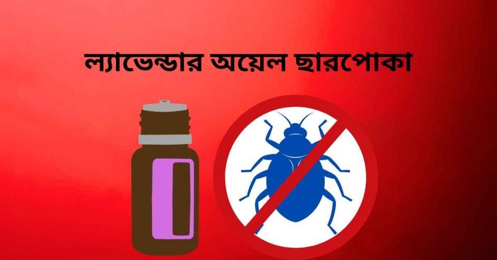 ল্যাভেন্ডার অয়েল ছারপোকা