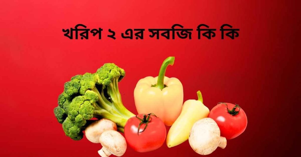 খরিপ ২ এর সবজি কি কি
