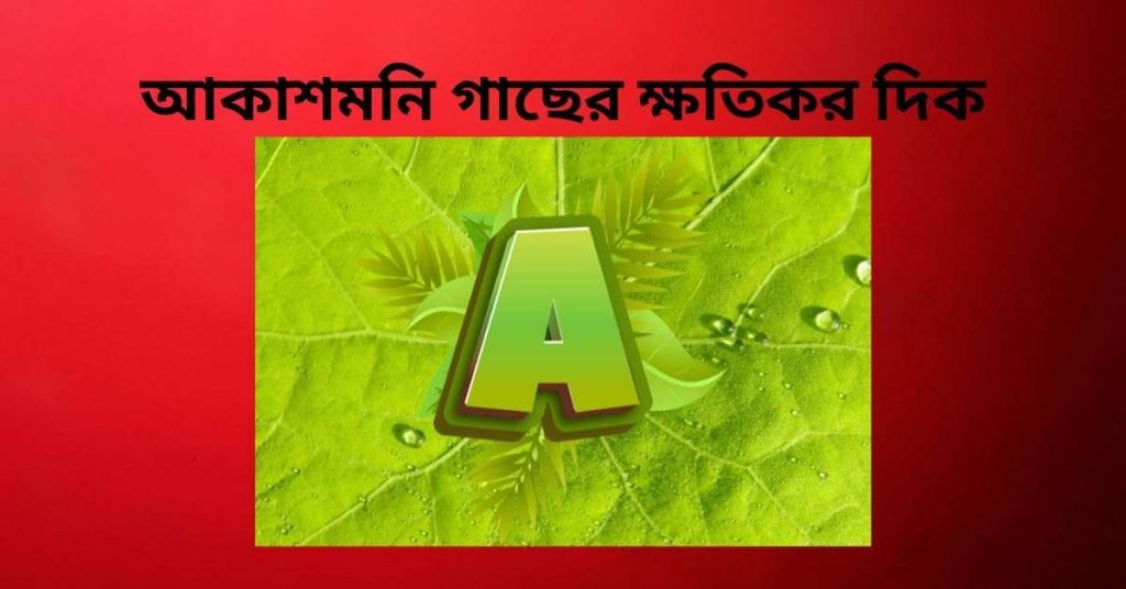 আকাশমনি গাছের ক্ষতিকর দিক