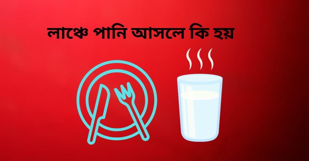 লাঞ্চে পানি খাওয়ার আদর্শ নিয়ম